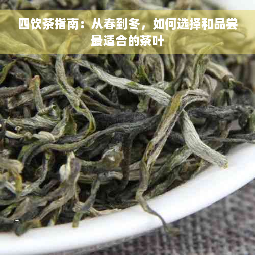 四饮茶指南：从春到冬，如何选择和品尝最适合的茶叶