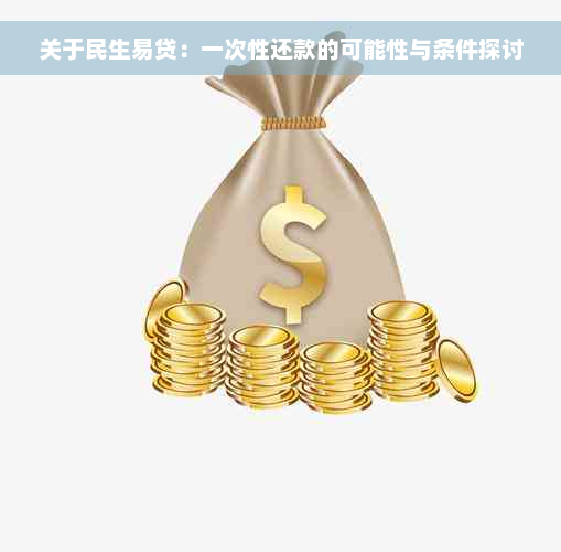 关于民生易贷：一次性还款的可能性与条件探讨