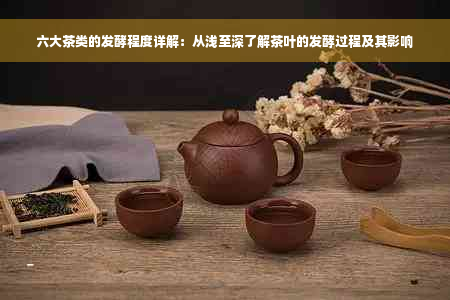 六大茶类的发酵程度详解：从浅至深了解茶叶的发酵过程及其影响