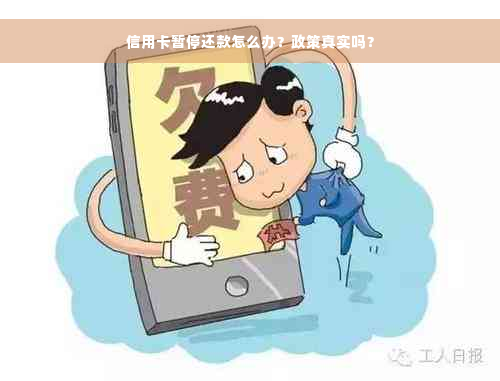 信用卡暂停还款怎么办？政策真实吗？