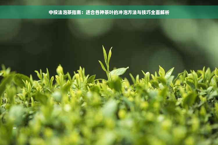 中投法泡茶指南：适合各种茶叶的冲泡方法与技巧全面解析