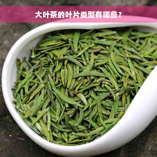 大叶茶的叶片类型有哪些？