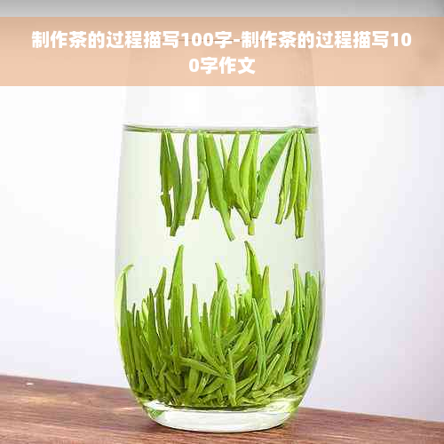 制作茶的过程描写100字-制作茶的过程描写100字作文