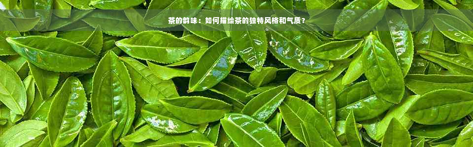 茶的韵味：如何描绘茶的独特风格和气质？