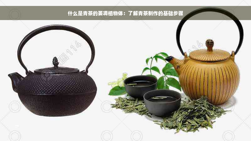 什么是青茶的萎凋植物体：了解青茶制作的基础步骤