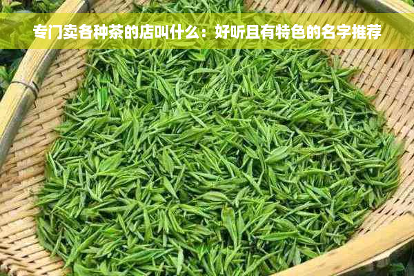 专门卖各种茶的店叫什么：好听且有特色的名字推荐