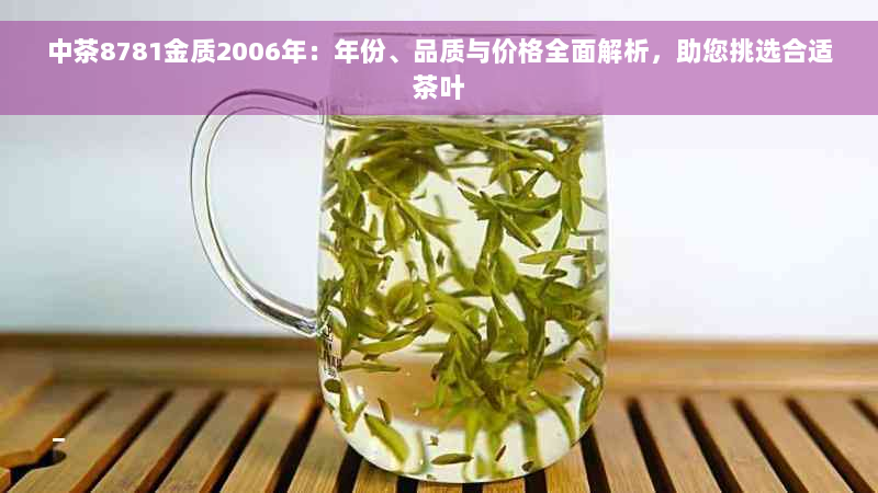 中茶8781金质2006年：年份、品质与价格全面解析，助您挑选合适茶叶