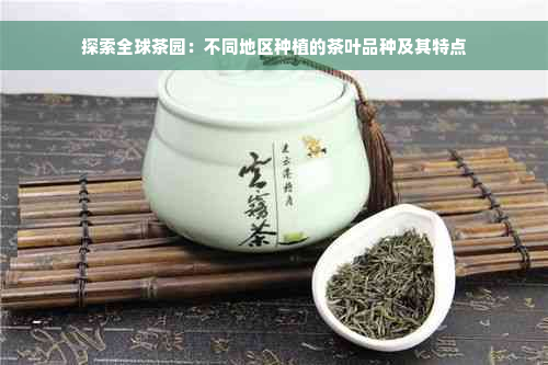 探索全球茶园：不同地区种植的茶叶品种及其特点