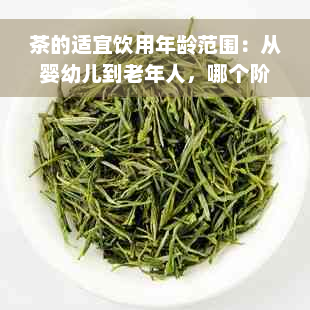 茶的适宜饮用年龄范围：从婴幼儿到老年人，哪个阶最适合喝茶？