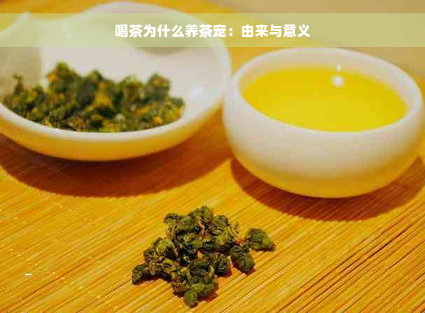 喝茶为什么养茶宠：由来与意义