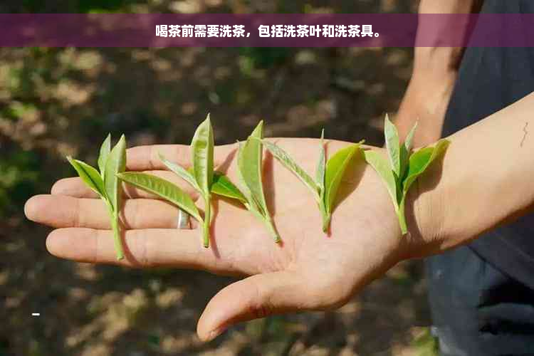 喝茶前需要洗茶，包括洗茶叶和洗茶具。