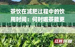 茶饮在减肥过程中的饮用时间：何时喝茶能更有效地帮助减肥？