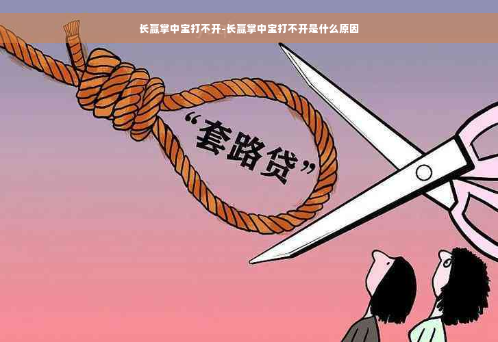 长赢掌中宝打不开-长赢掌中宝打不开是什么原因