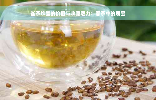 雀茶珍品的价值与收藏魅力：春茶中的瑰宝