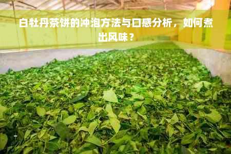 白牡丹茶饼的冲泡方法与口感分析，如何煮出风味？