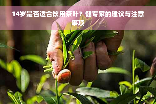 14岁是否适合饮用茶叶？健专家的建议与注意事项