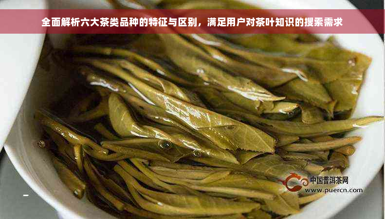 全面解析六大茶类品种的特征与区别，满足用户对茶叶知识的搜索需求