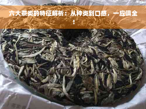 六大茶类的特征解析：从种类到口感，一应俱全！