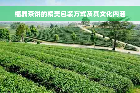 福鼎茶饼的精美包装方式及其文化内涵