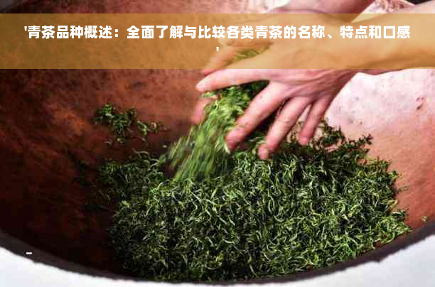 '青茶品种概述：全面了解与比较各类青茶的名称、特点和口感'