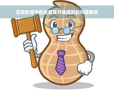 还款处理中的进度及可能遇到的问题解答