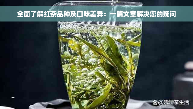 全面了解红茶品种及口味差异：一篇文章解决您的疑问