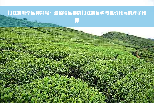 门红茶哪个品种好喝：最值得品尝的门红茶品种与性价比高的牌子推荐