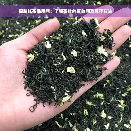 福鼎红茶保质期：了解茶叶的有效期及其存方法