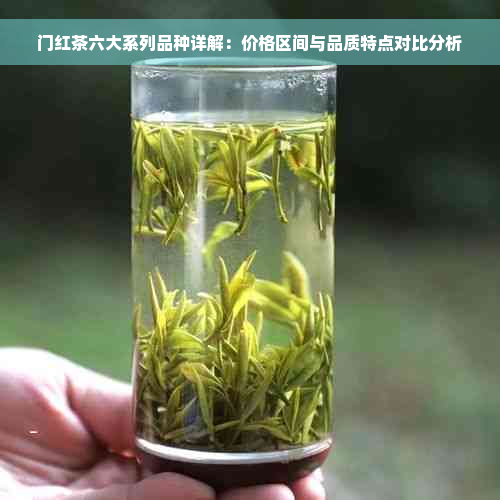 门红茶六大系列品种详解：价格区间与品质特点对比分析