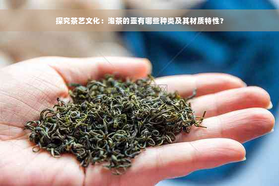 探究茶艺文化：泡茶的壶有哪些种类及其材质特性？