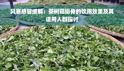 风寒感冒缓解：茶树菇排骨的饮用效果及其适用人群探讨