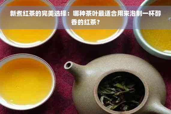 新煮红茶的完美选择：哪种茶叶最适合用来泡制一杯醇香的红茶？