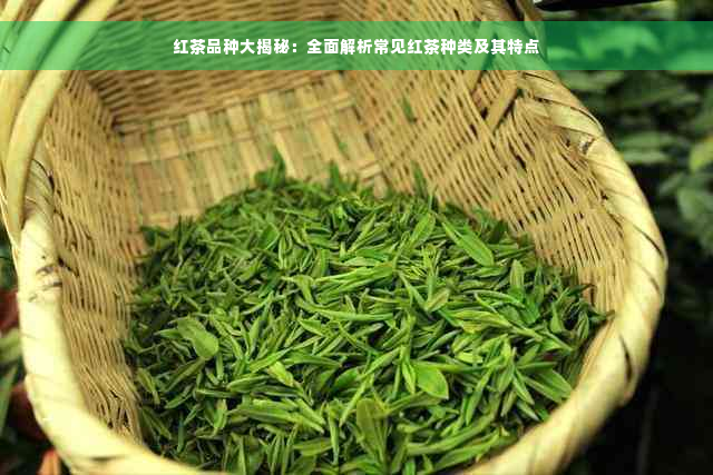 红茶品种大揭秘：全面解析常见红茶种类及其特点