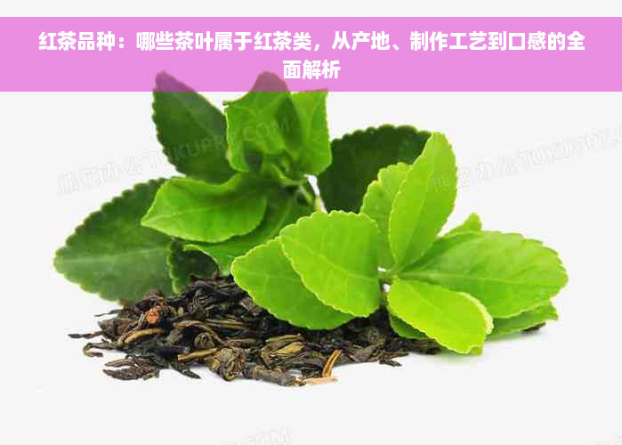 红茶品种：哪些茶叶属于红茶类，从产地、制作工艺到口感的全面解析