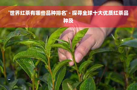 '世界红茶有哪些品种排名' - 探寻全球十大优质红茶品种及