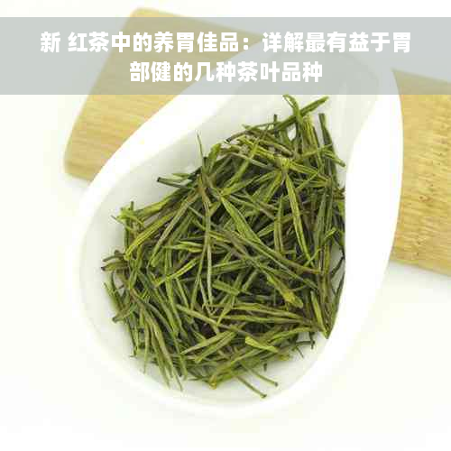 新 红茶中的养胃佳品：详解最有益于胃部健的几种茶叶品种