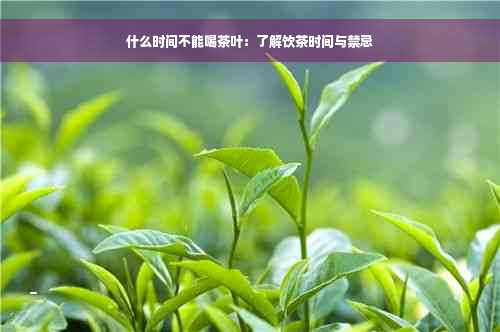 什么时间不能喝茶叶：了解饮茶时间与禁忌