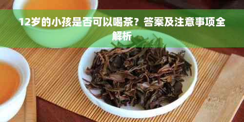 12岁的小孩是否可以喝茶？答案及注意事项全解析