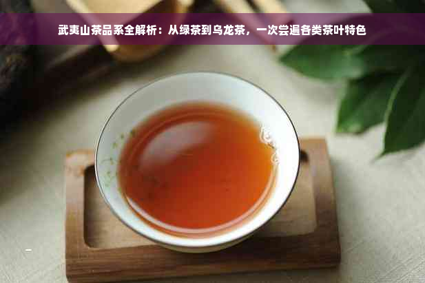 武夷山茶品系全解析：从绿茶到乌龙茶，一次尝遍各类茶叶特色