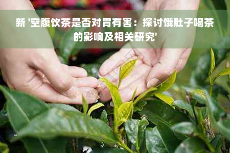 新 '空腹饮茶是否对胃有害：探讨饿肚子喝茶的影响及相关研究'