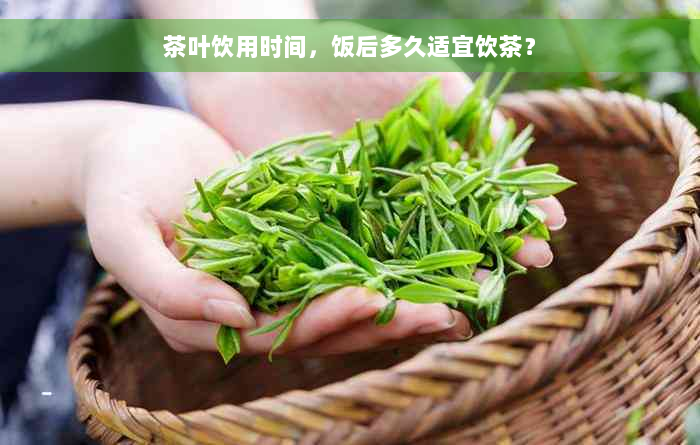 茶叶饮用时间，饭后多久适宜饮茶？