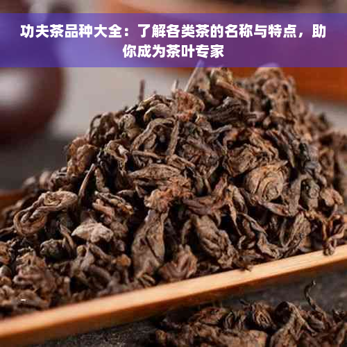 功夫茶品种大全：了解各类茶的名称与特点，助你成为茶叶专家