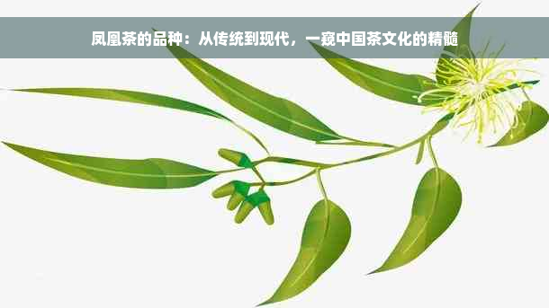 凤凰茶的品种：从传统到现代，一窥中国茶文化的精髓