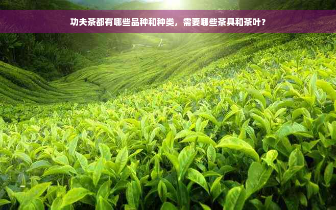 功夫茶都有哪些品种和种类，需要哪些茶具和茶叶？