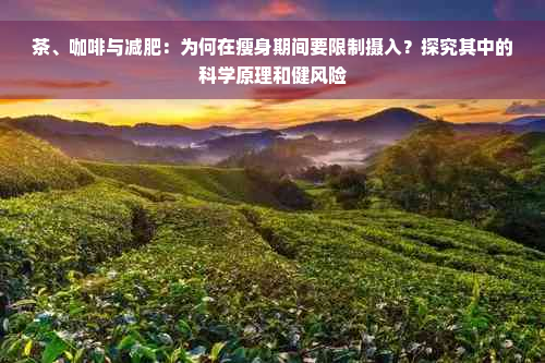 茶、咖啡与减肥：为何在瘦身期间要限制摄入？探究其中的科学原理和健风险