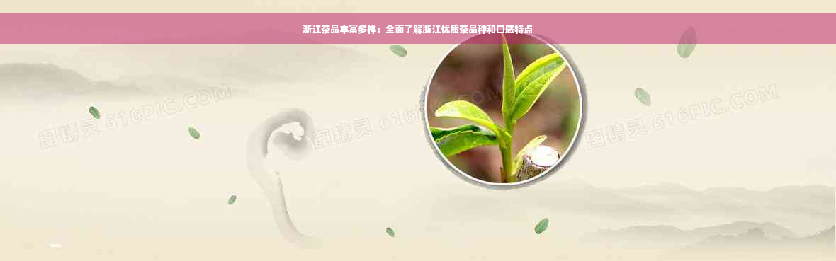 浙江茶品丰富多样：全面了解浙江优质茶品种和口感特点