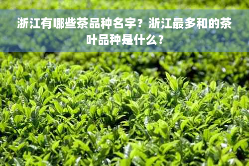 浙江有哪些茶品种名字？浙江最多和的茶叶品种是什么？