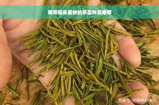 喝茶瘦身最快的茶品种及推荐