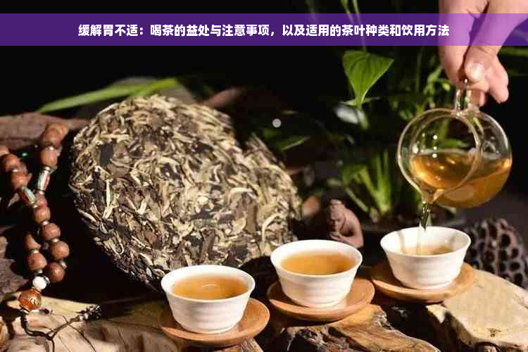 缓解胃不适：喝茶的益处与注意事项，以及适用的茶叶种类和饮用方法