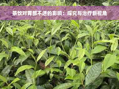 茶饮对胃部不适的影响：探究与治疗新视角